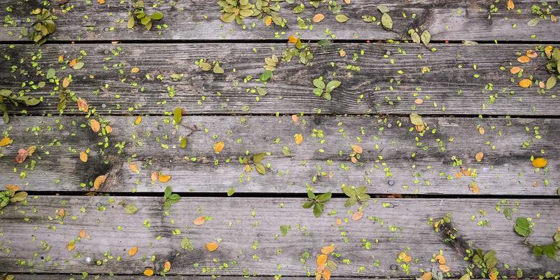 从域名到品牌：初创公司如何通过域名管理、企业邮箱与网站托管奠定商业基石