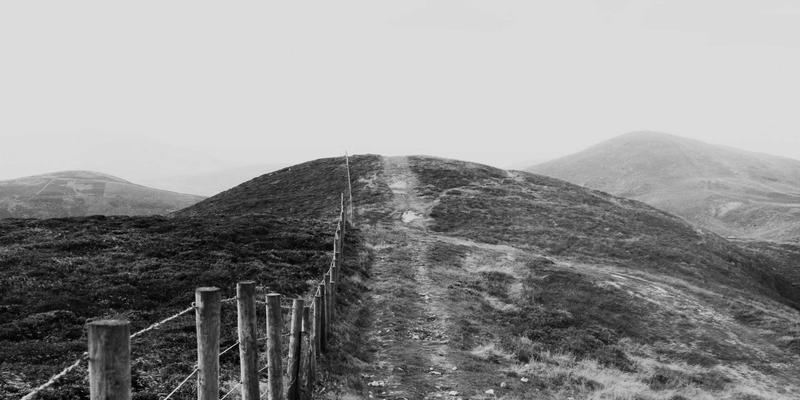 域名投资策略：如何识别具有升值潜力的域名类型与市场趋势 | 从域名注册到企业邮箱与SSL证书的完整布局