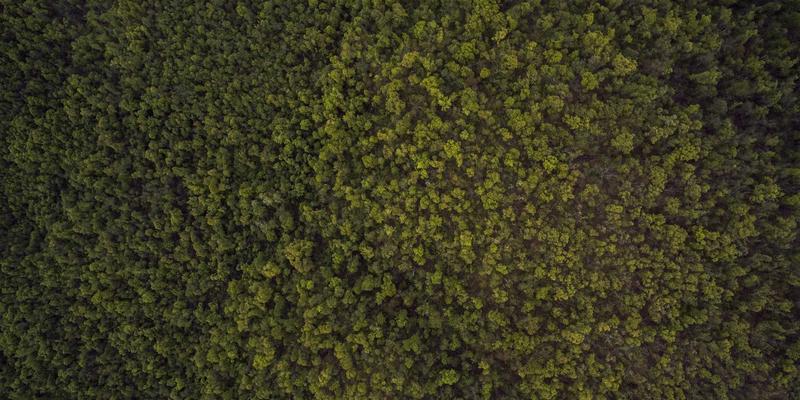 域名注册25周年：企业邮箱、SSL证书与域名管理的战略融合