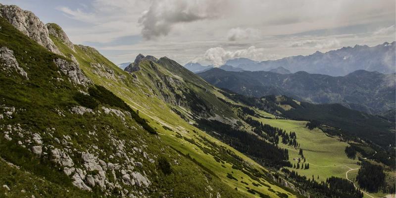 域名注册36问：从网络服务、网站托管到企业邮箱的完整指南