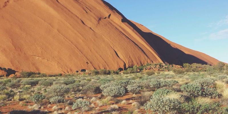 域名注册39：构建可信赖网络服务的三大基石