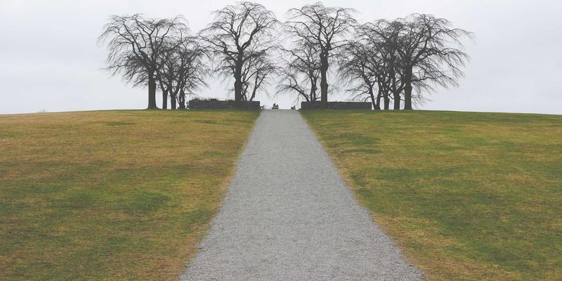 域名注册87：不止是网址，更是企业网络服务的基石