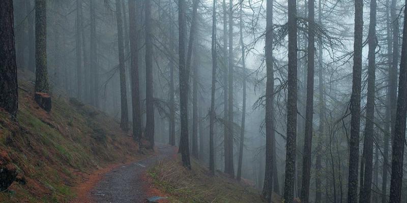 域名注册99：一站式解决域名、企业邮箱与域名管理难题