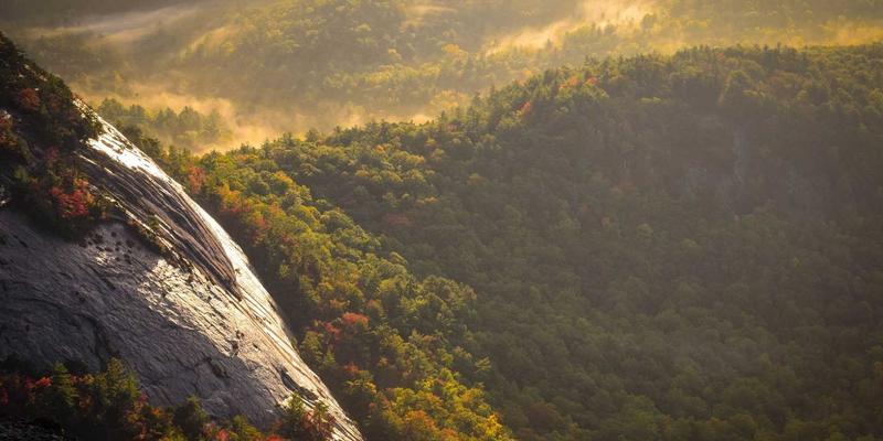 域名注册与SSL证书部署：企业如何通过前期商标检索规避网络服务法律风险