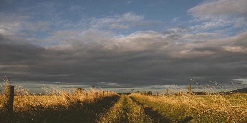 域名注册与品牌一致性：如何通过SSL证书和企业邮箱构建可信的跨平台社交媒体矩阵
