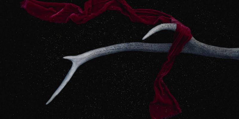 域名注册:企业数字化的基石,如何与网络服务、企业邮箱和网站托管协同构建强大在线形象