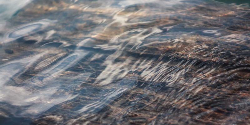 域名注册入门指南:从SSL证书到企业邮箱的完整建站第一步