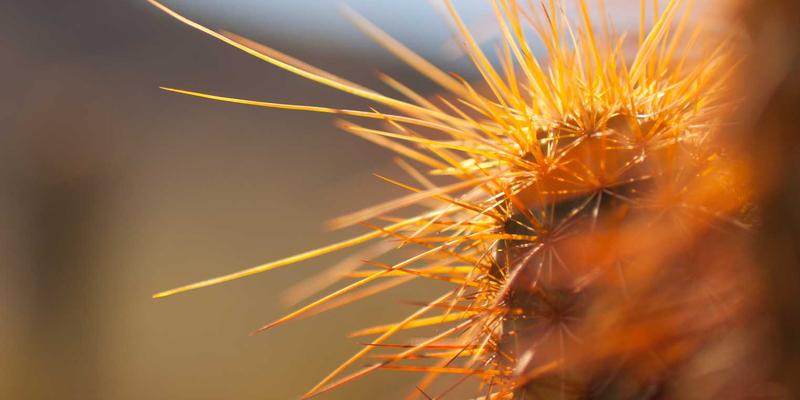 域名注册全攻略：从注册到上线的关键步骤与避坑指南