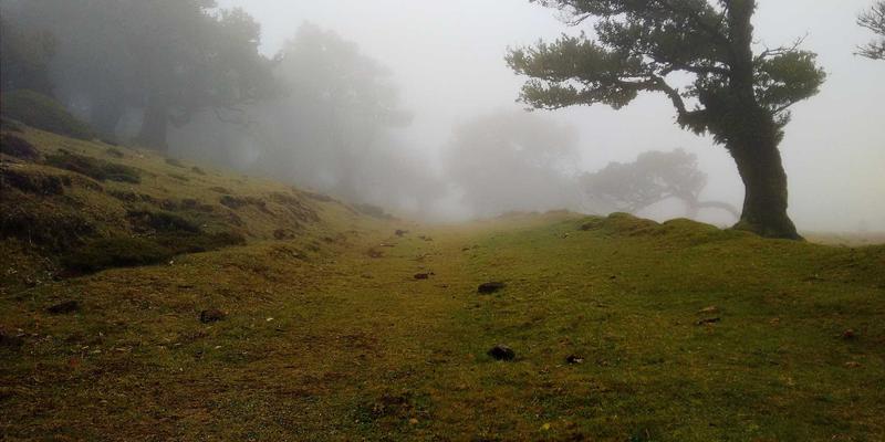 域名注册全攻略：企业邮箱、SSL证书与网站托管如何选择？