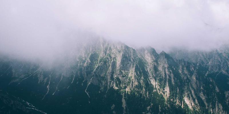 域名注册：构建您网络服务的基石与SSL证书的安全加持