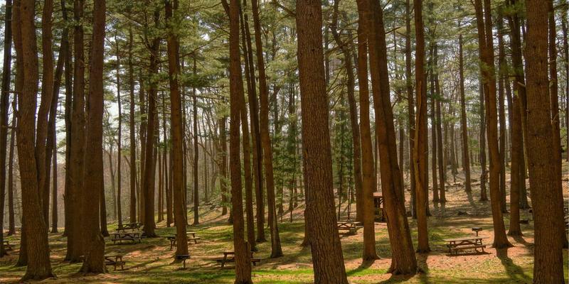 域名注册、网站托管与企业邮箱：构建企业数字资产的三大基石