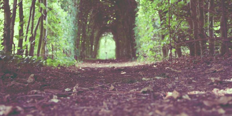 域名管理新视角：地理术语的法律红线与品牌机遇